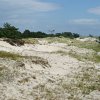 Tour 12: Darß - 1